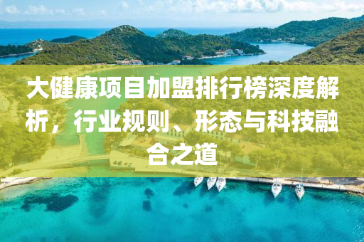 大健康項目加盟排行榜深度解析，行業規則、形態與科技融合之道